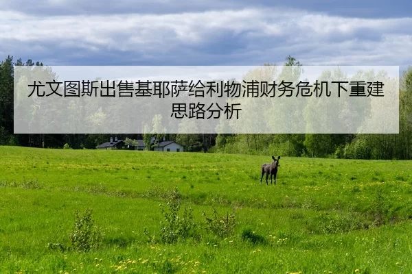 you-wen-tu-si-chu-shou-ji-ye-sa-gei-li-wu-pu-cai-wu-wei-ji-xia-chong-jian-si-lu-fen-xi-1-152.jpg